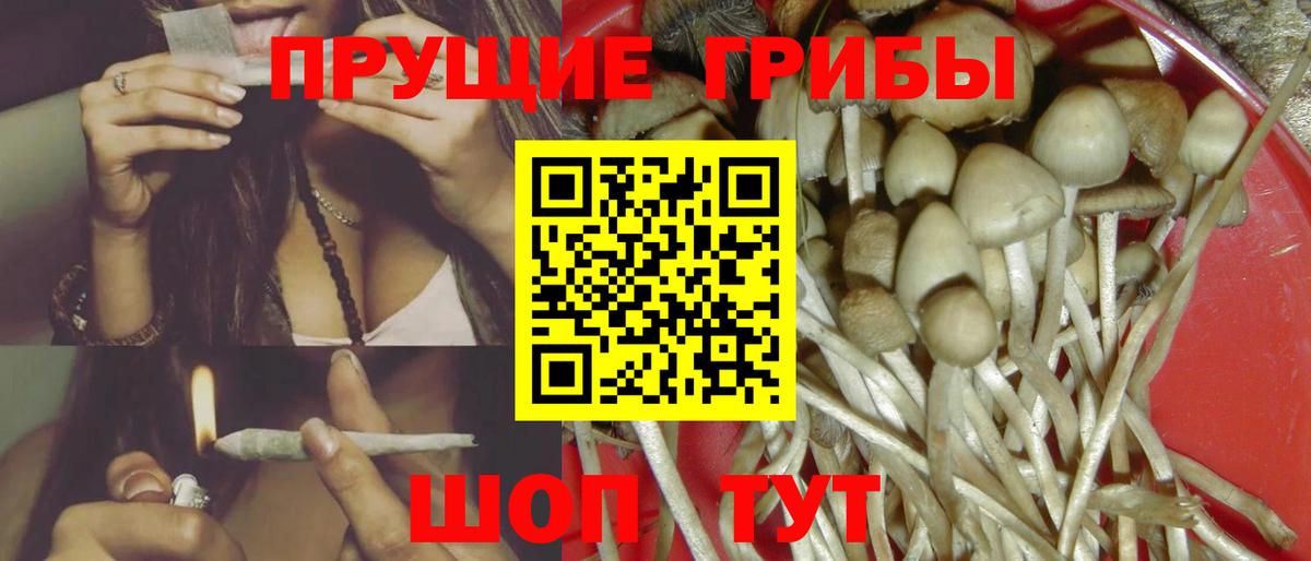 Галлюциногенные грибы Psilocybe  Вход с VPN  Псилоцибиновые грибы Psilocybe  Ухта 