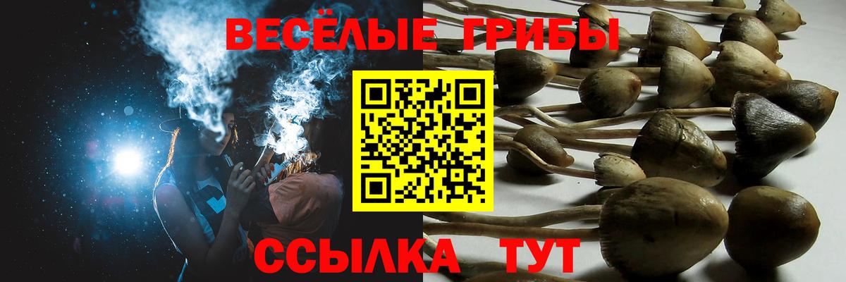 Галлюциногенные грибы Cubensis Ухта